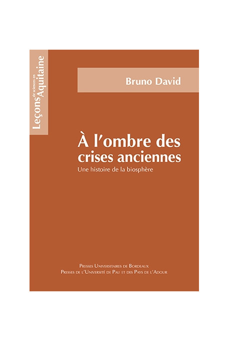 DAVID (Bruno)