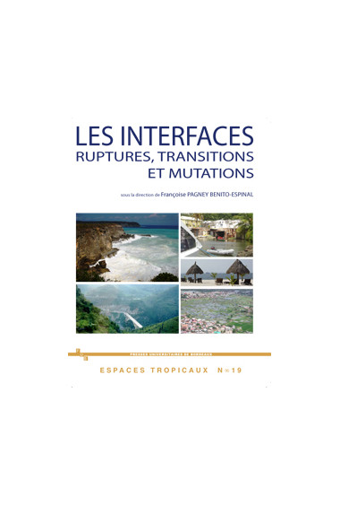 PAGNEY BÉNITO-ESPINAL (Françoise)\nLes Interfaces : ruptures, transitions et mutations