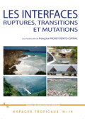 PAGNEY BÉNITO-ESPINAL (Françoise)\nLes Interfaces : ruptures, transitions et mutations