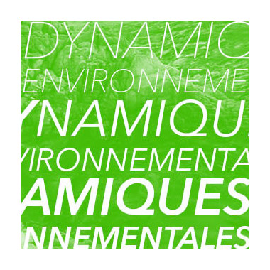 Dynamiques Environnementales